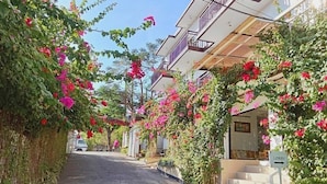 Un sendero bordeado por abundante follaje y flores rosadas brillantes que conduce a un edificio con balcón.
