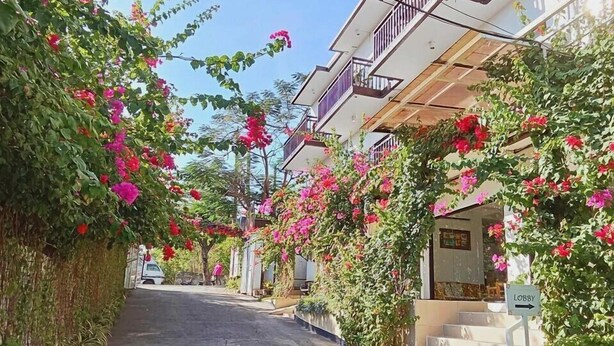 A pathway flanked by lush greenery and vibrant pink flowers leading to a building with a balcony. - Aozora Seaside Mactan (Lapu-Lapu)
