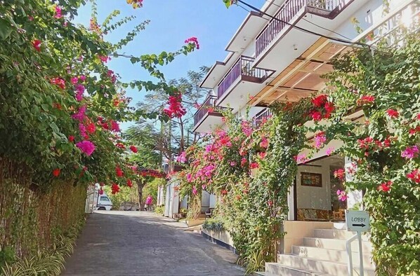 A pathway flanked by lush greenery and vibrant pink flowers leading to a building with a balcony. - Aozora Seaside Mactan (Lapu-Lapu)
