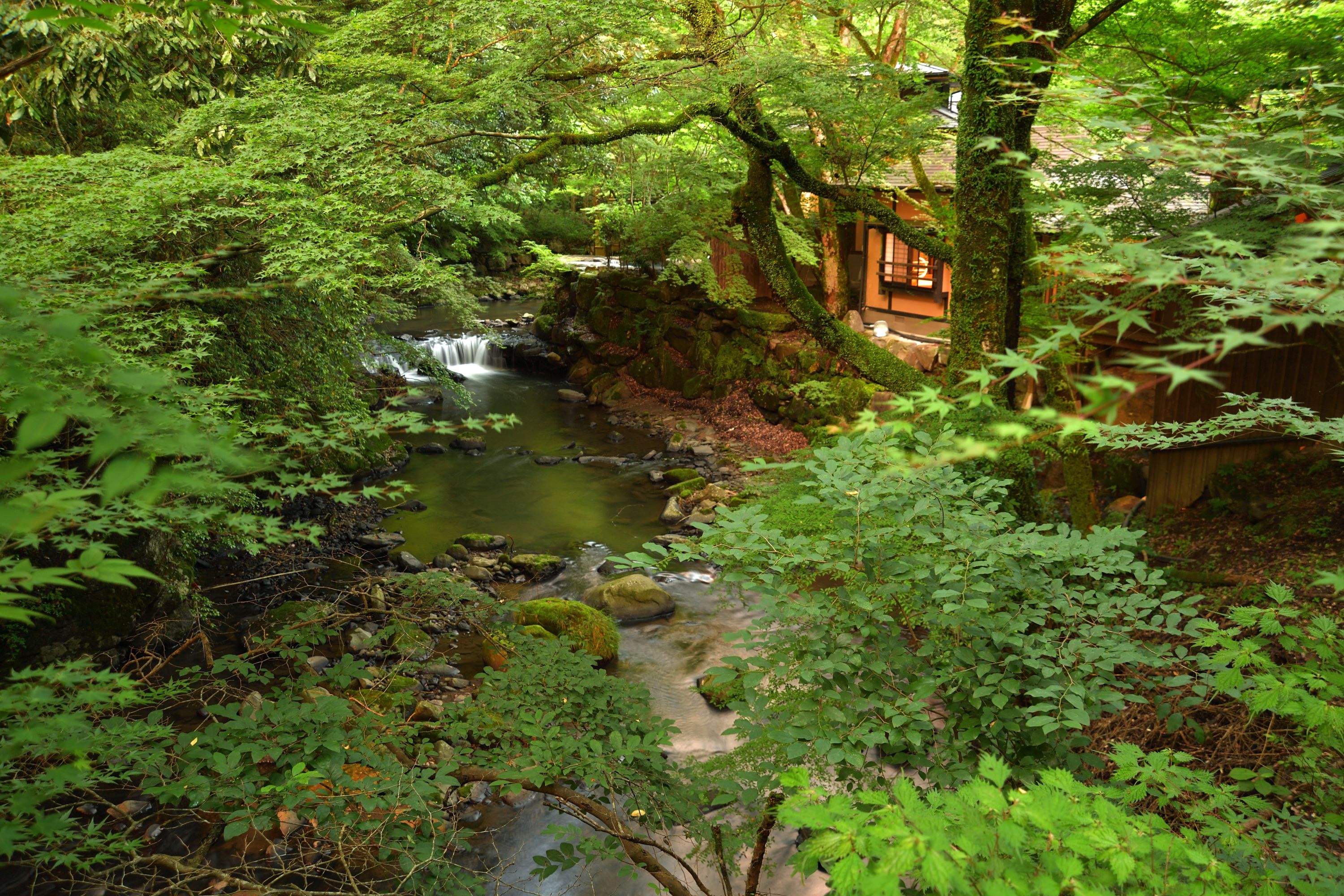 A traditional Japanese-style building with a small waterfall and lush greenery.