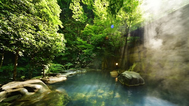 A serene forest stream with clear water, surrounded by lush greenery and rocks. - Oyado Hanabou (Minamioguni)