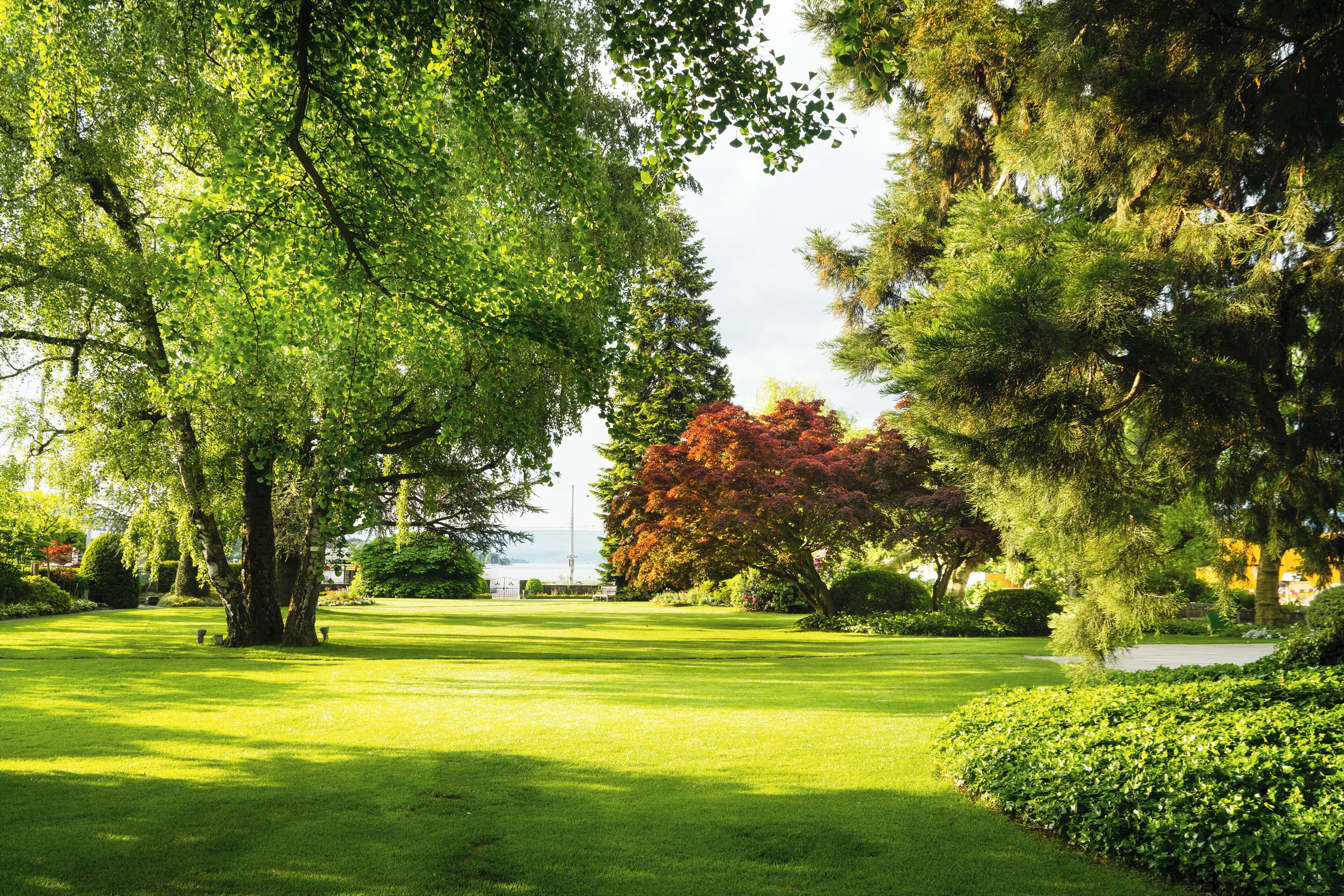 Un parc bien entretenu, avec une variété d’arbres, une pelouse verdoyante et un petit étang.