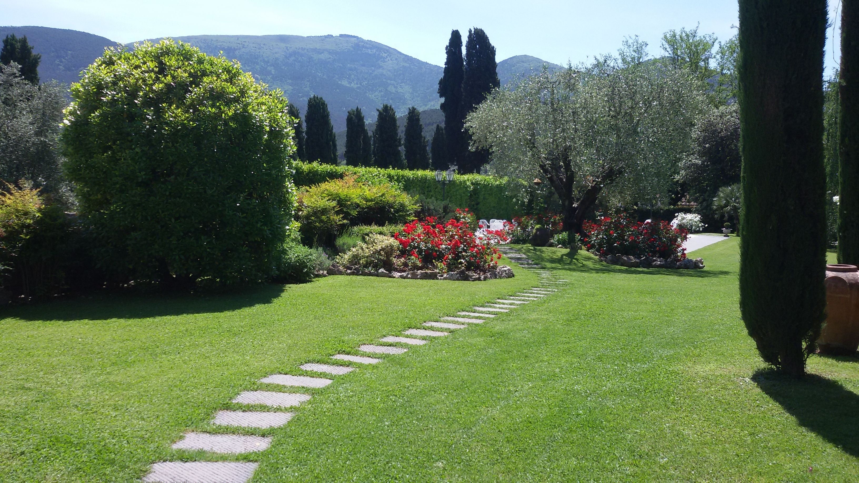 Un giardino curato con un vialetto in pietra.