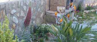 Apartamentos Suncanarias Vilaflor