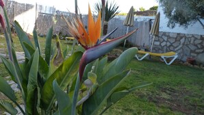 Jardín