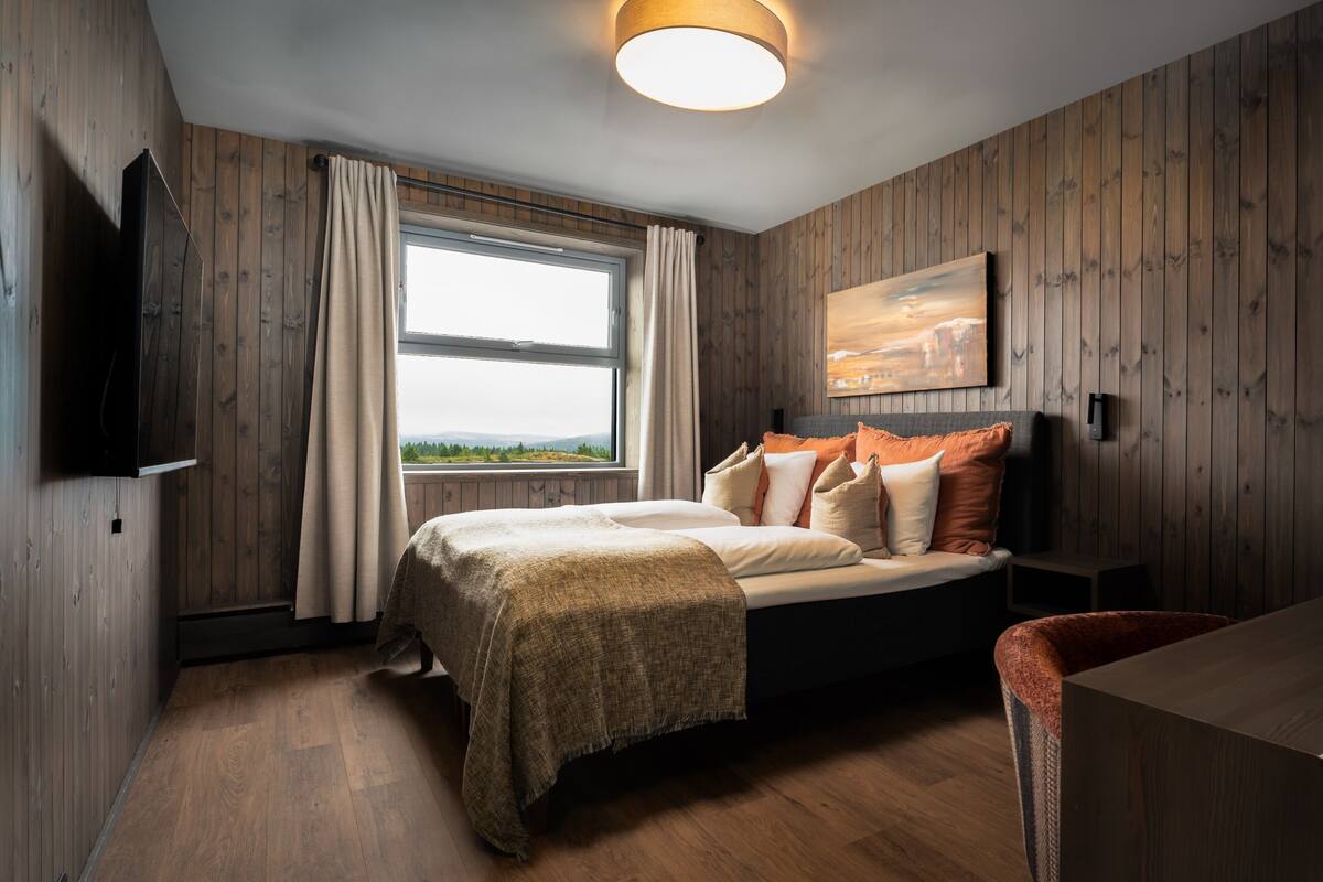 Une chambre à coucher avec un lit, une télévision, une fenêtre avec des rideaux et un tableau au mur.