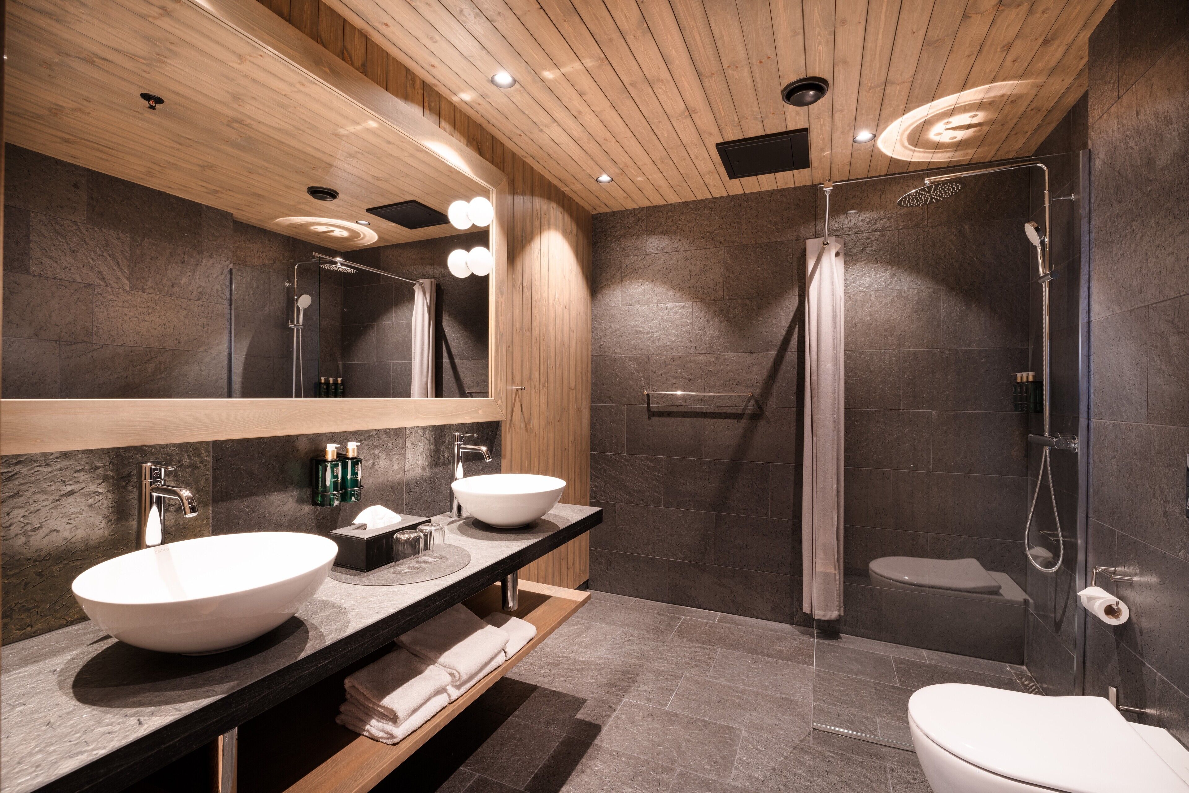 Deluxe Suite - Nevelfjell | Bathroom | Shower, free toiletries, towels