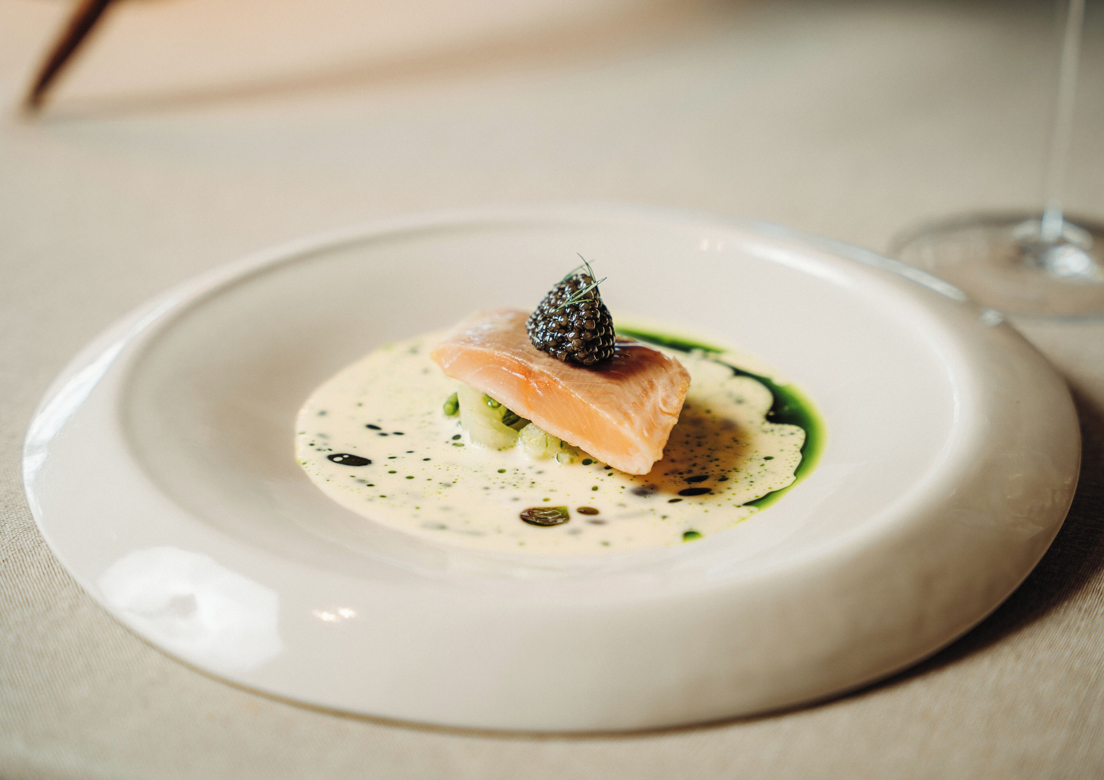 Un plato con un trozo de salmón, una cucharada de crema y una guarnición sobre un plato blanco.