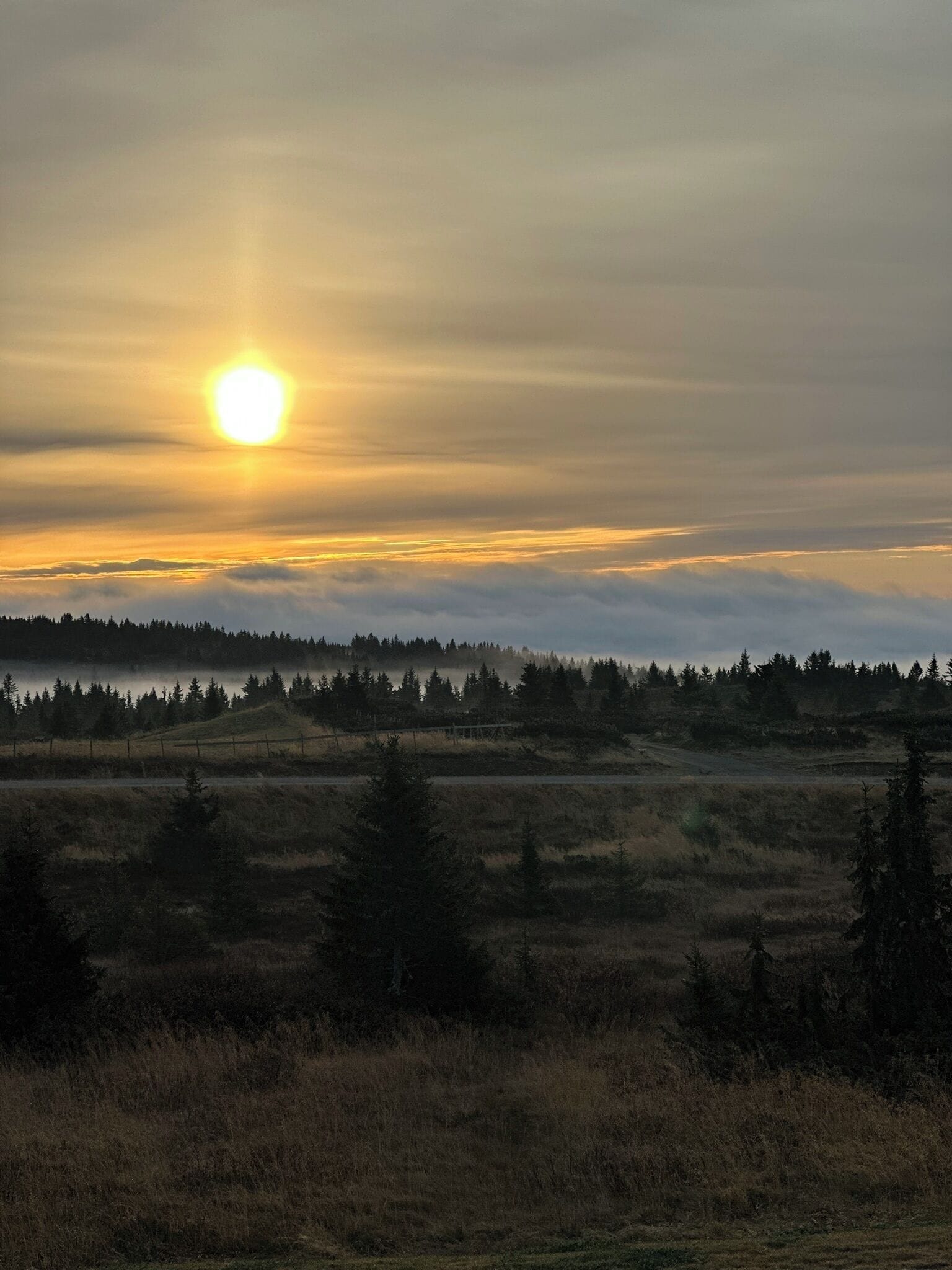 A landscape with a sun setting behind a forested hill.