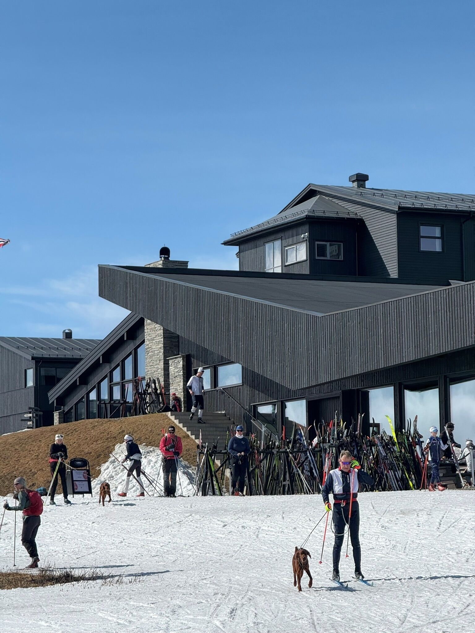 A modern ski lodge with a sloped roof and large windows.