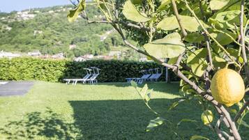 Zona junto a la piscina con vistas a una colina, un seto y un limonero con frutos.