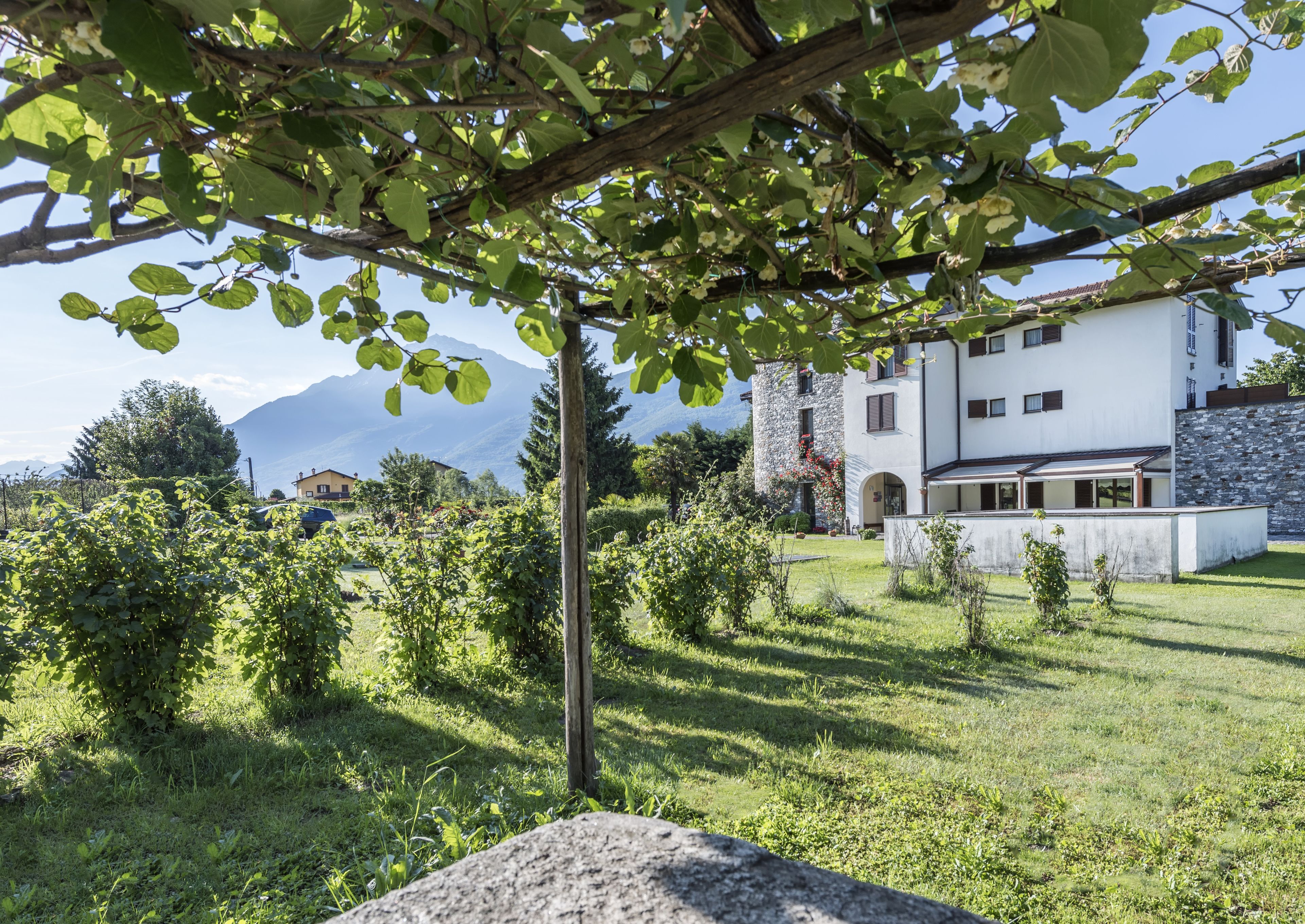 Facciata della struttura