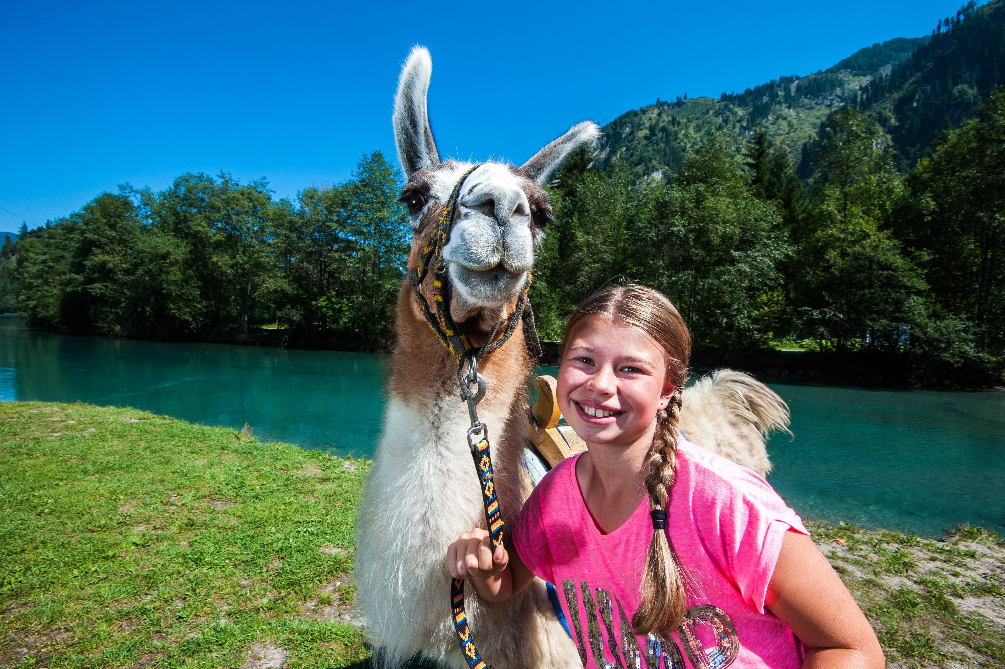 A llama standing next to a person in a grassy area with a river and mountains in the background.