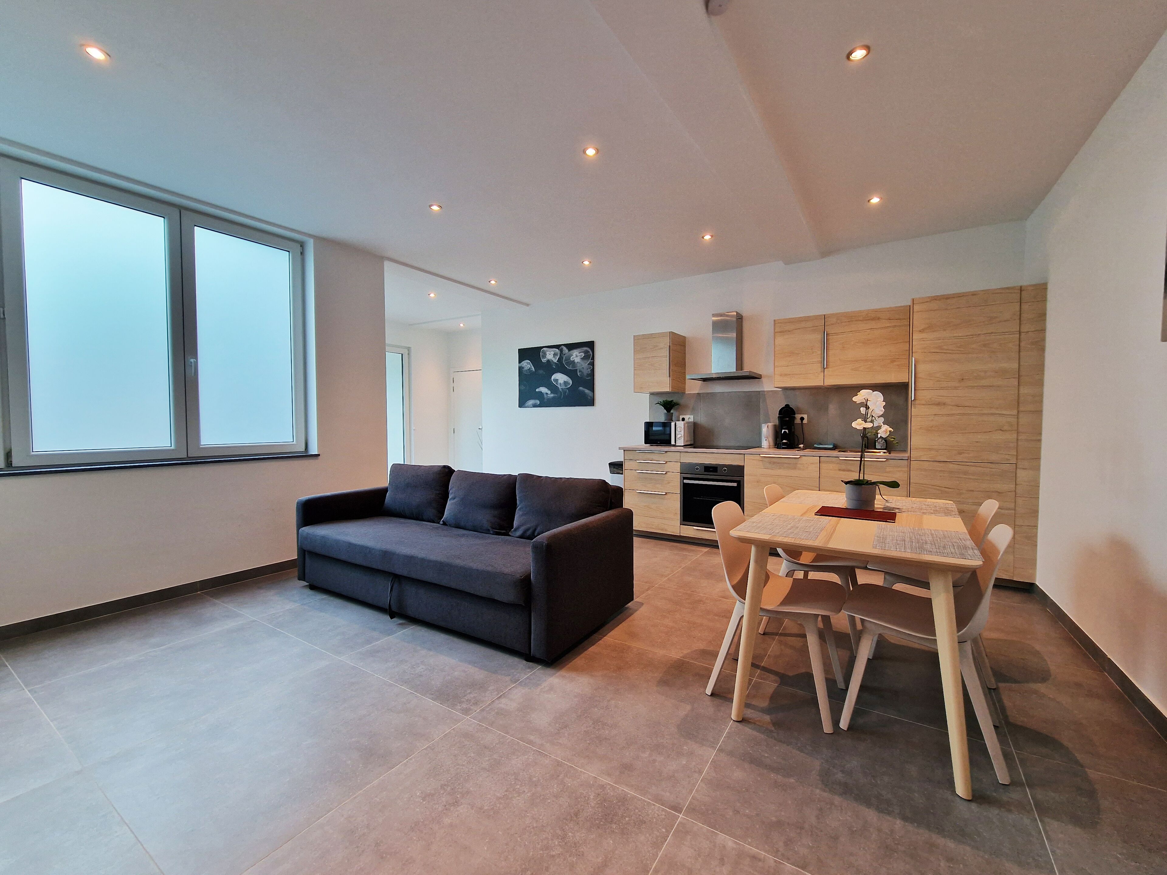 Appartement, 1 chambre, terrasse