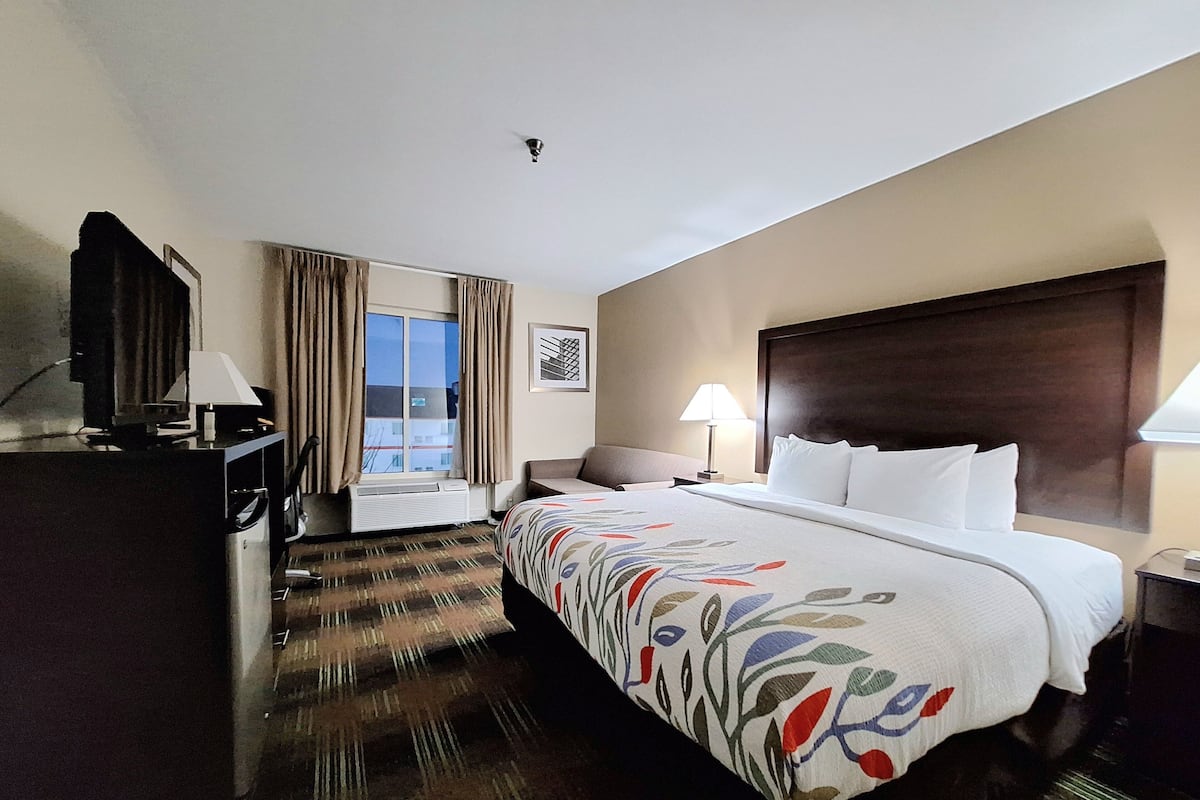 Escritorio, wifi gratis, ropa de cama y acceso para silla de ruedas
