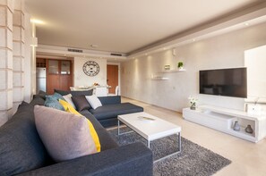 Flat-screen TV