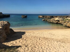 トラディショナル スタジオ ベッド (複数台) ビーチサイド | ビーチ