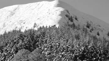 Montanha coberta de neve com florestas densas na base.