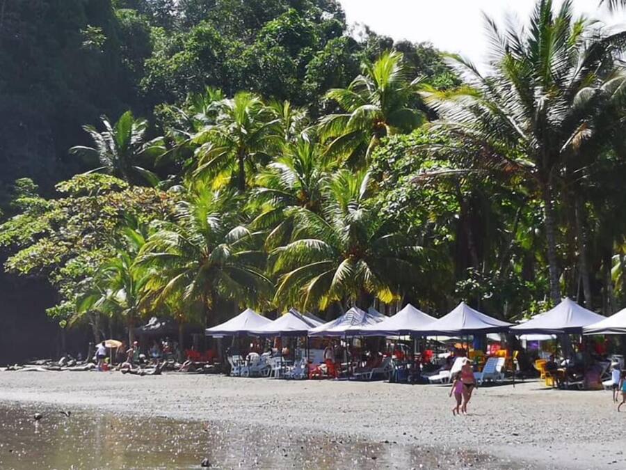 Beach shuttle, beach towels