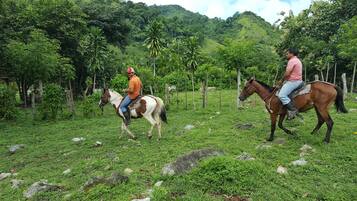 Two people riding horses on a grassy path surrounded by lush greenery and hills.