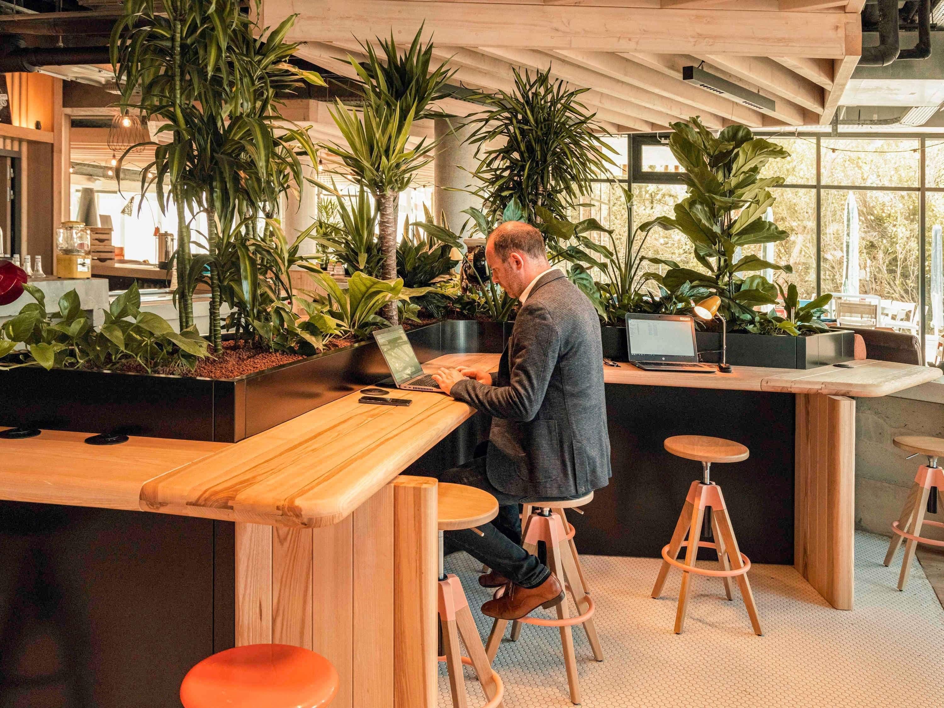 Un espacio de trabajo moderno con mesas y taburetes de madera, rodeado de plantas en macetas.