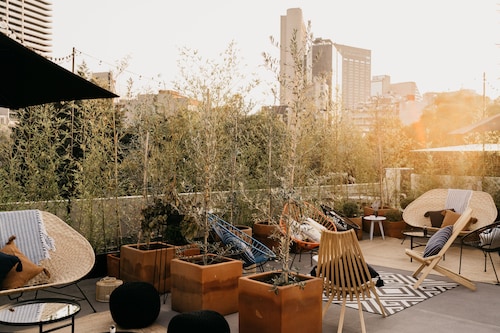 ザ ワイルド オスカー