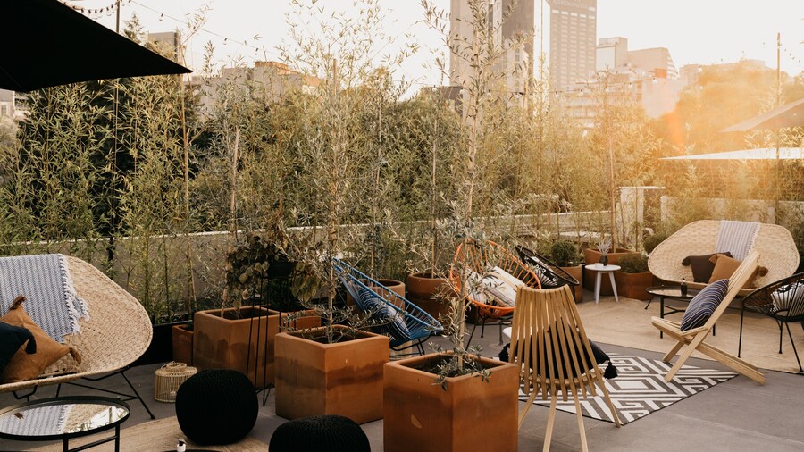 ザ ワイルド オスカー