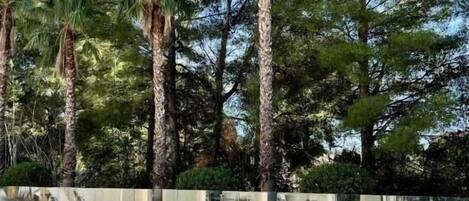 Piscina externa sazonal, funciona das 9h às 20h, guarda-sóis