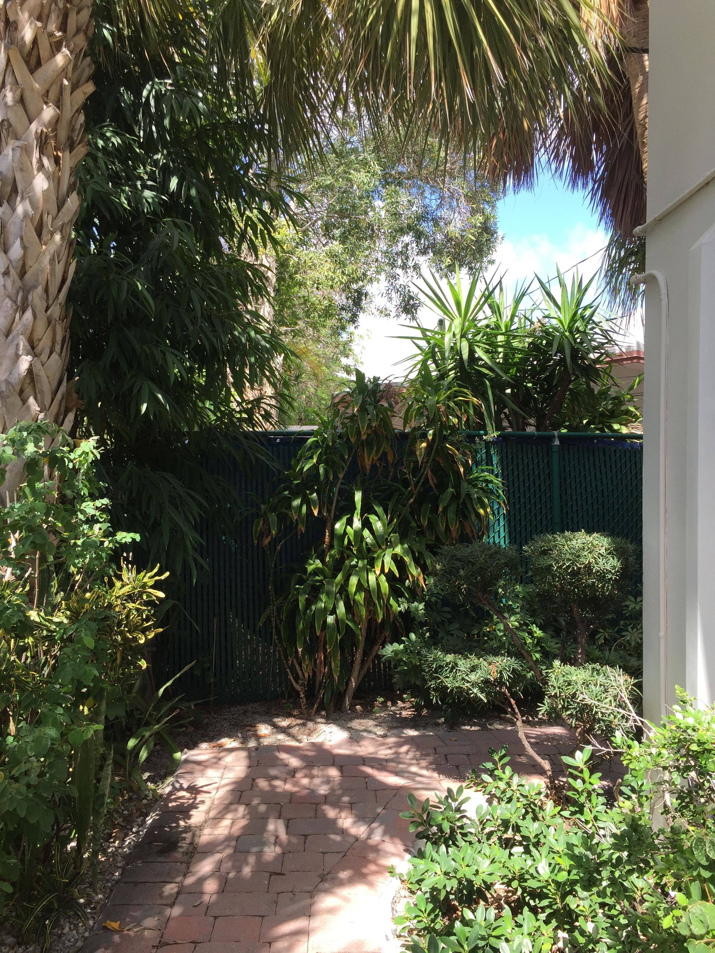 A garden with a brick pathway, various plants, and a green fence.