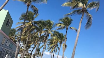 Beach nearby, white sand