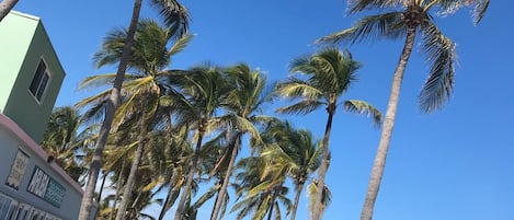 Una playa cerca, arena blanca