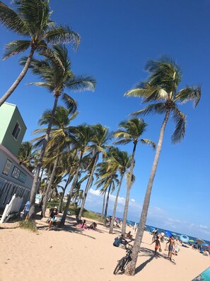 Gần bãi biển, cát trắng 