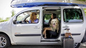 A white van with a roof rack, a dog sitting in the back, and a suitcase on the ground.