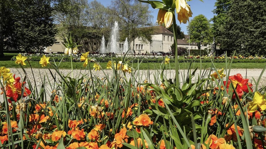 ibis budget Nuits Saint Georges