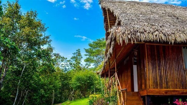 A wooden cabin with a thatched roof, surrounded by lush greenery and a clear blue sky. - Lakshmi Ecolodge and Holistic Spa (Nauta)