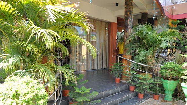A covered outdoor area with steps leading to a building entrance, surrounded by various potted plants. - Sunshine Hotel & Hall (Trincomalee)