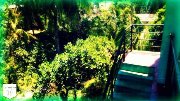 Una escalera conduce a un balcón con vistas a un jardín exuberante, con palmeras y follaje denso.