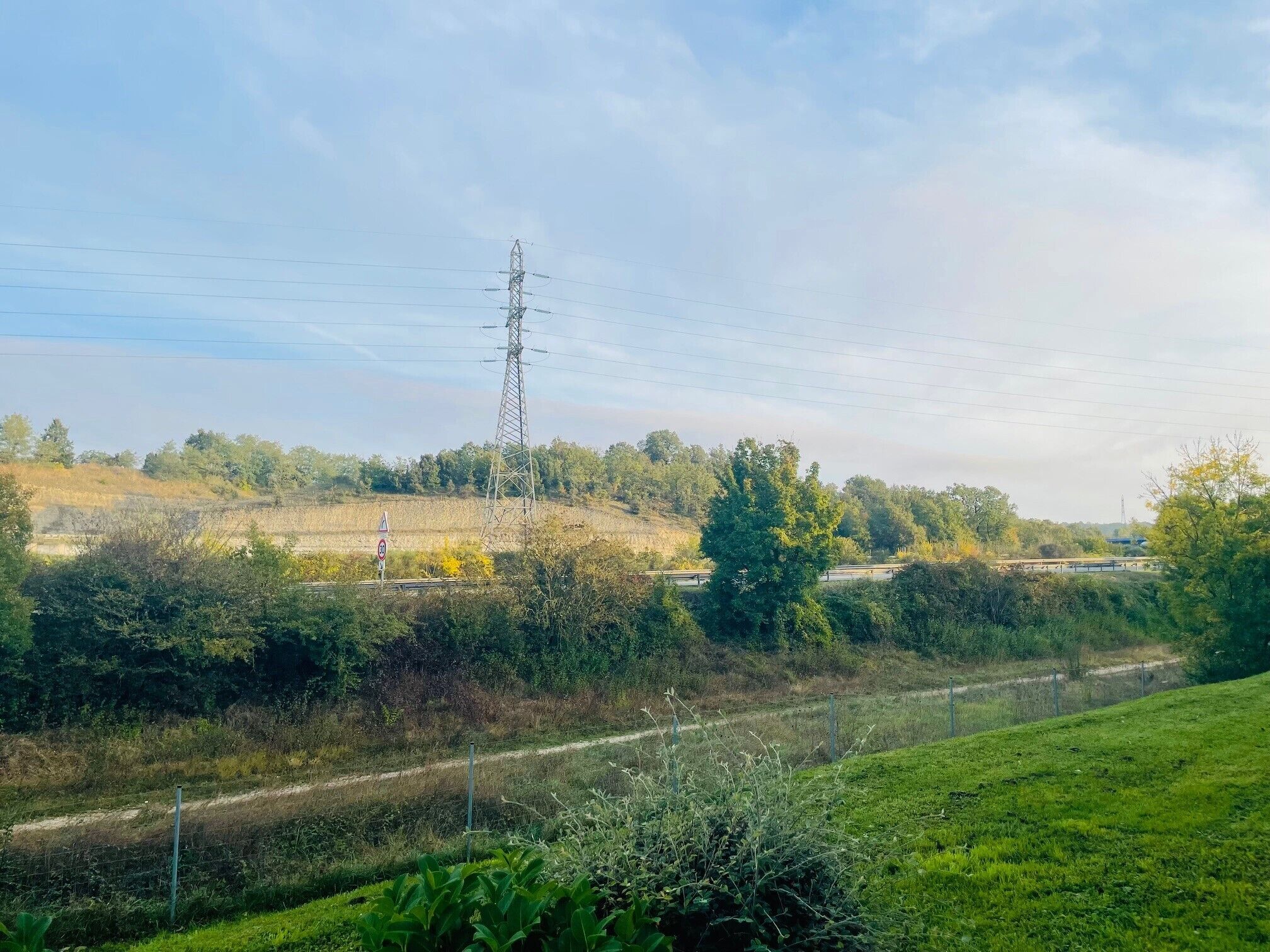 Un paisaje rural con una torre de líneas eléctricas, un camino de tierra y un campo cubierto de hierba.