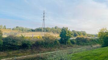 Un paysage rural avec une pylône de ligne électrique, un chemin de terre et un champ d’herbe.