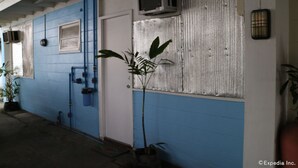 Un couloir avec un mur bleu, une porte, un appareil de climatisation et une plante en pot.