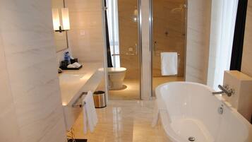 Combined shower/bathtub, free toiletries, hair dryer, slippers