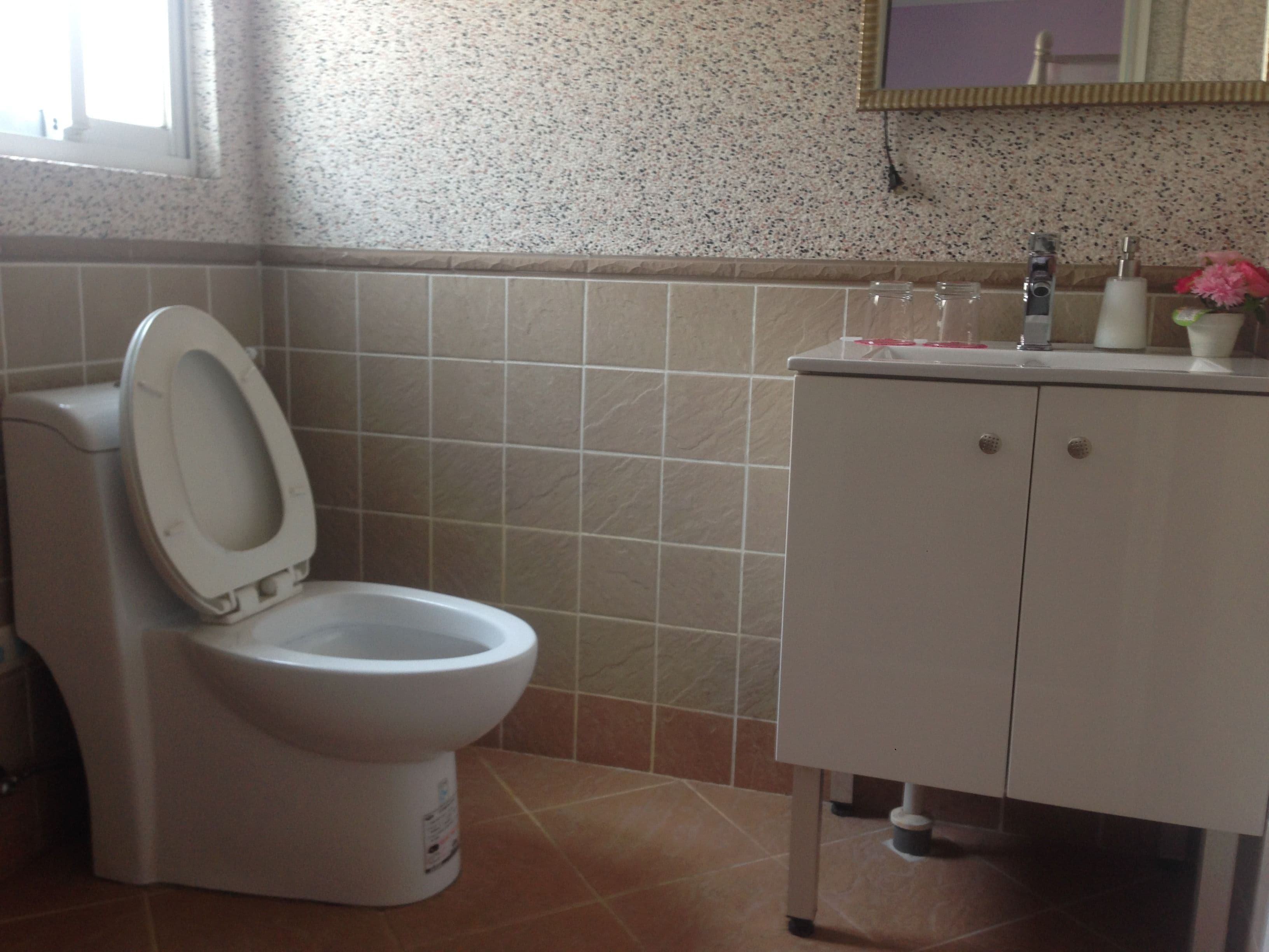 Une salle de bain avec des toilettes, un lavabo et un miroir.