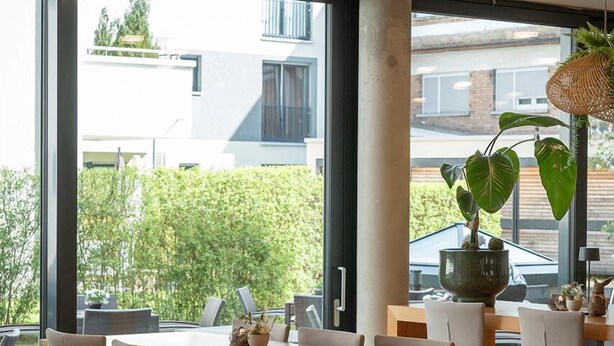 Uma zona de refeições moderna com uma mesa e cadeiras de madeira, janelas grandes e uma planta em vaso.