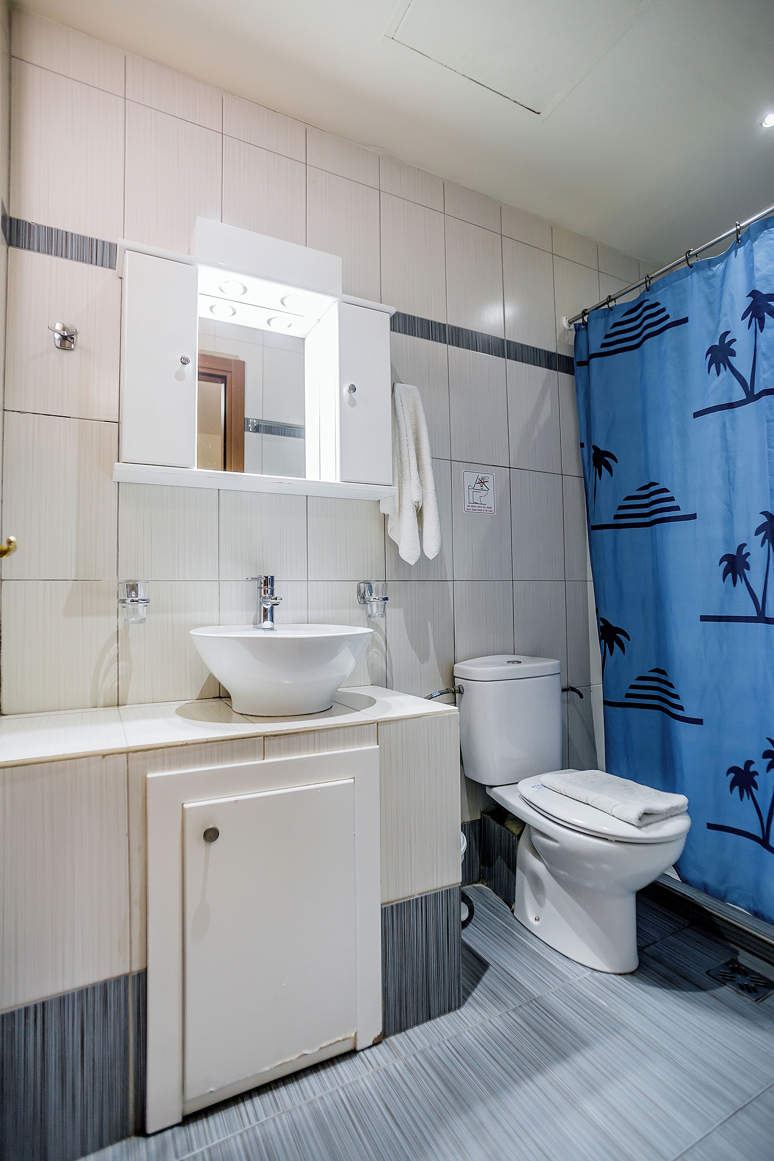 standard family room | bathroom | shower, free toiletries, hair dryer, towels