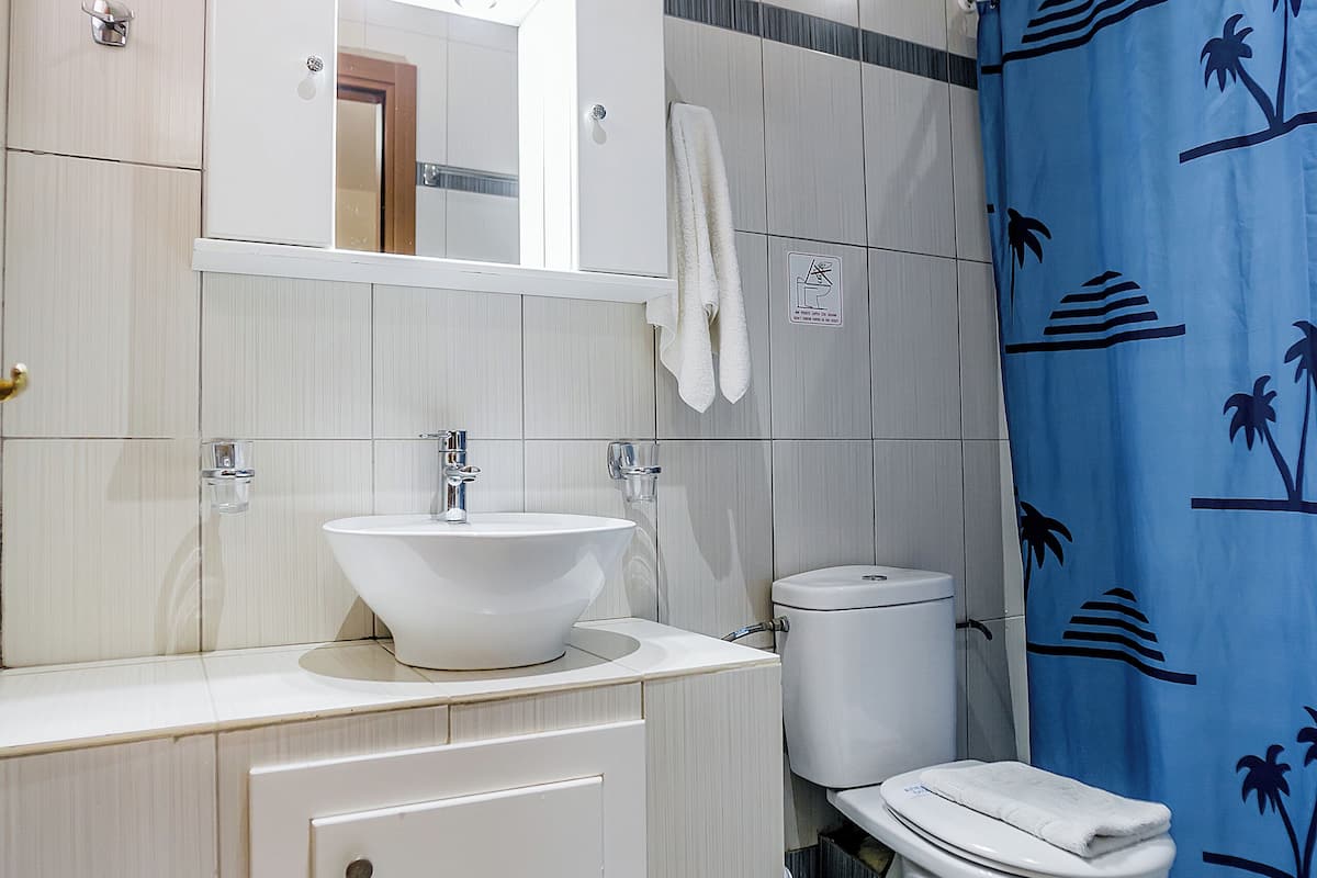 standard family room | bathroom | shower, free toiletries, hair dryer, towels