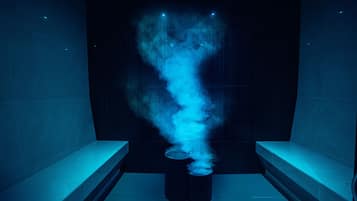 Sauna, hot tub, steam room, hot stone massages, Thai massages