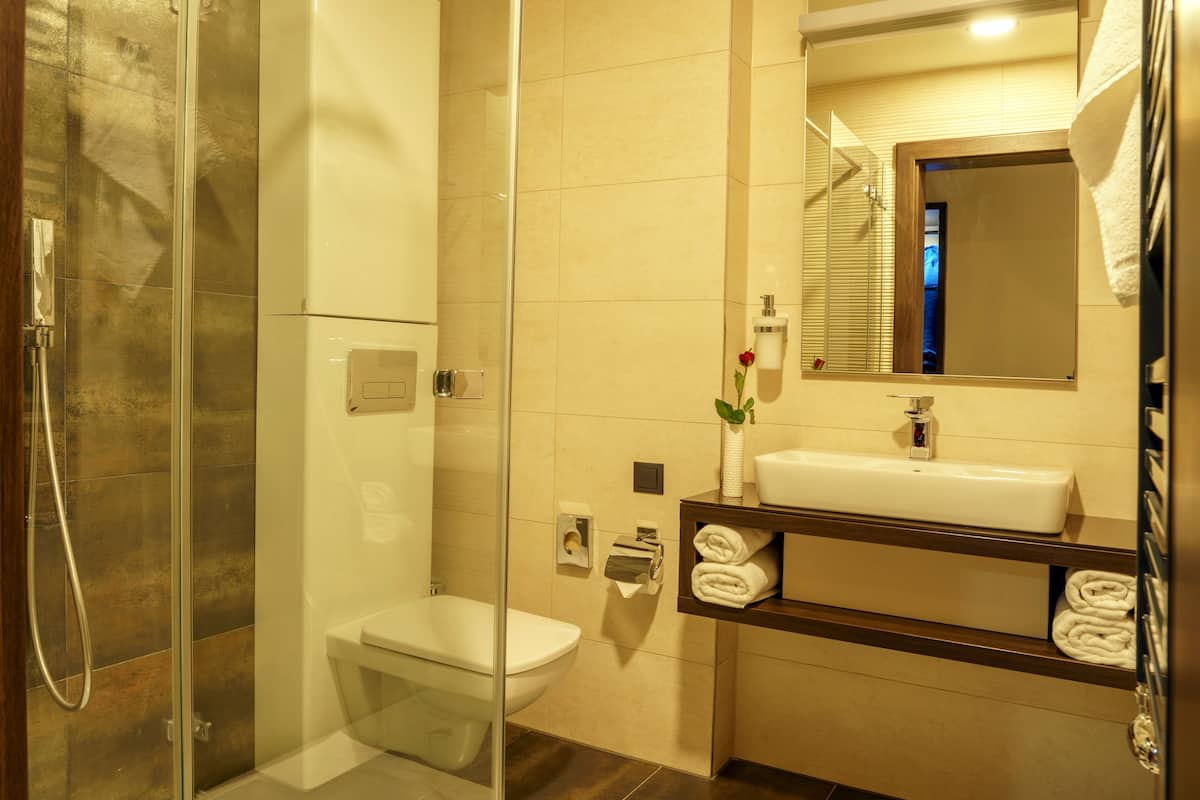 shower, free toiletries, hair dryer, bathrobes