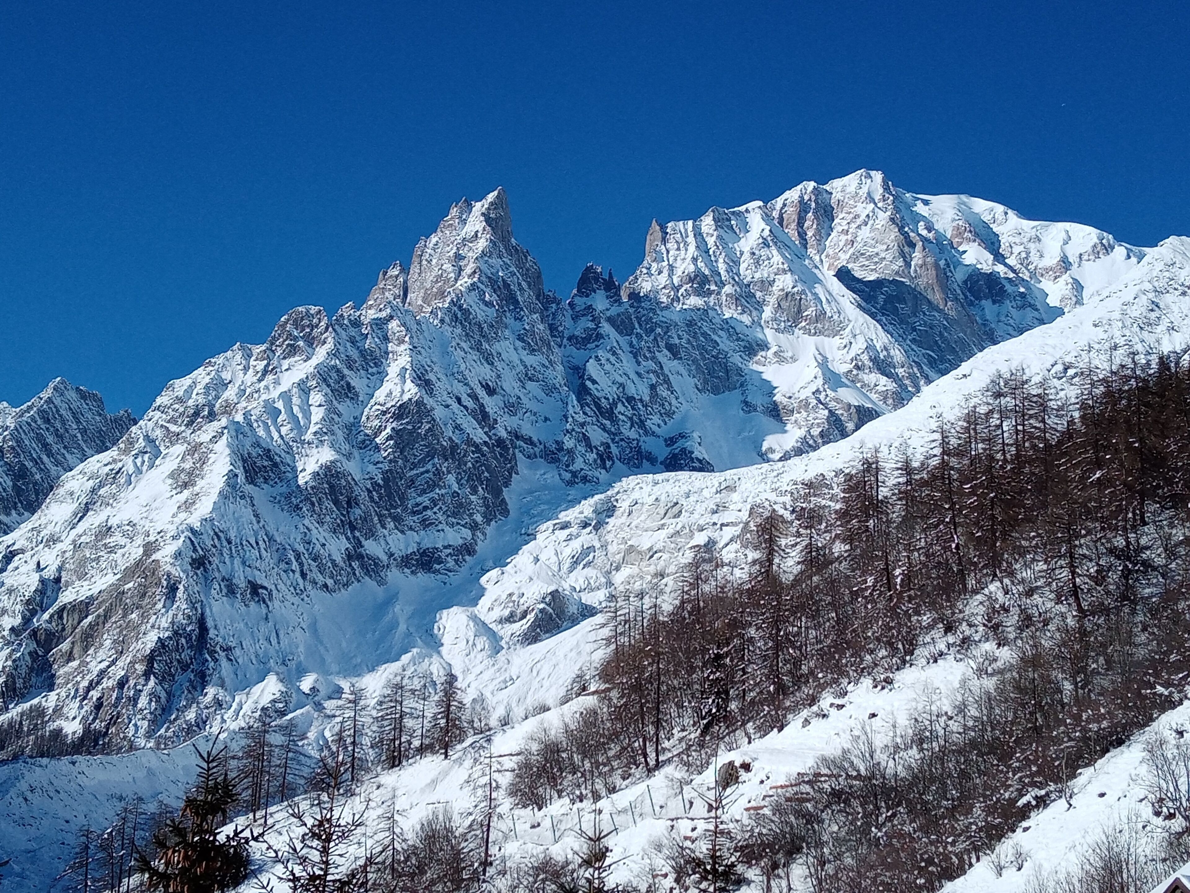 Cordilheira nevada com picos agudos e árvores esparsas.