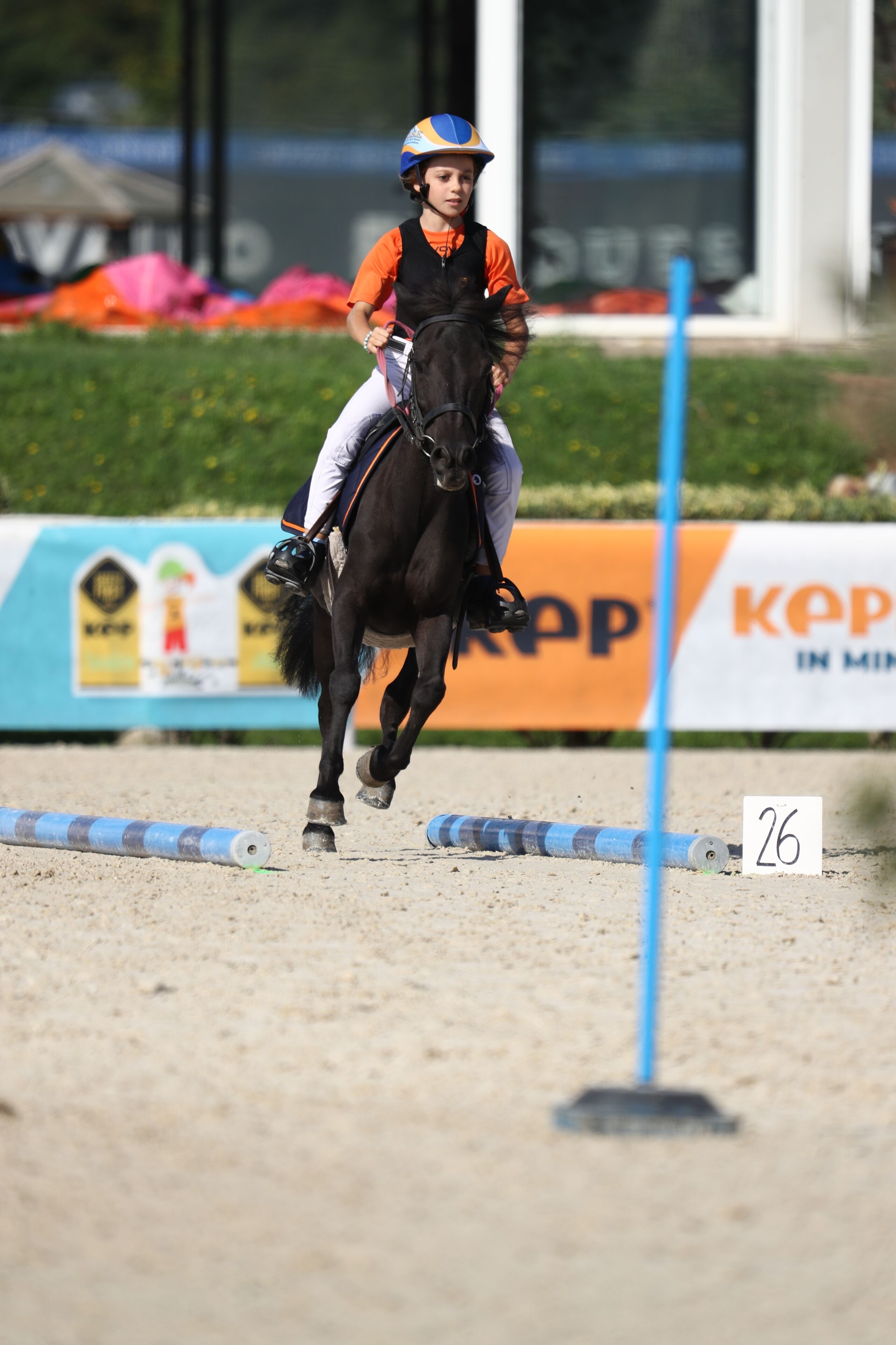 Una persona montando a caballo en una competición ecuestre.