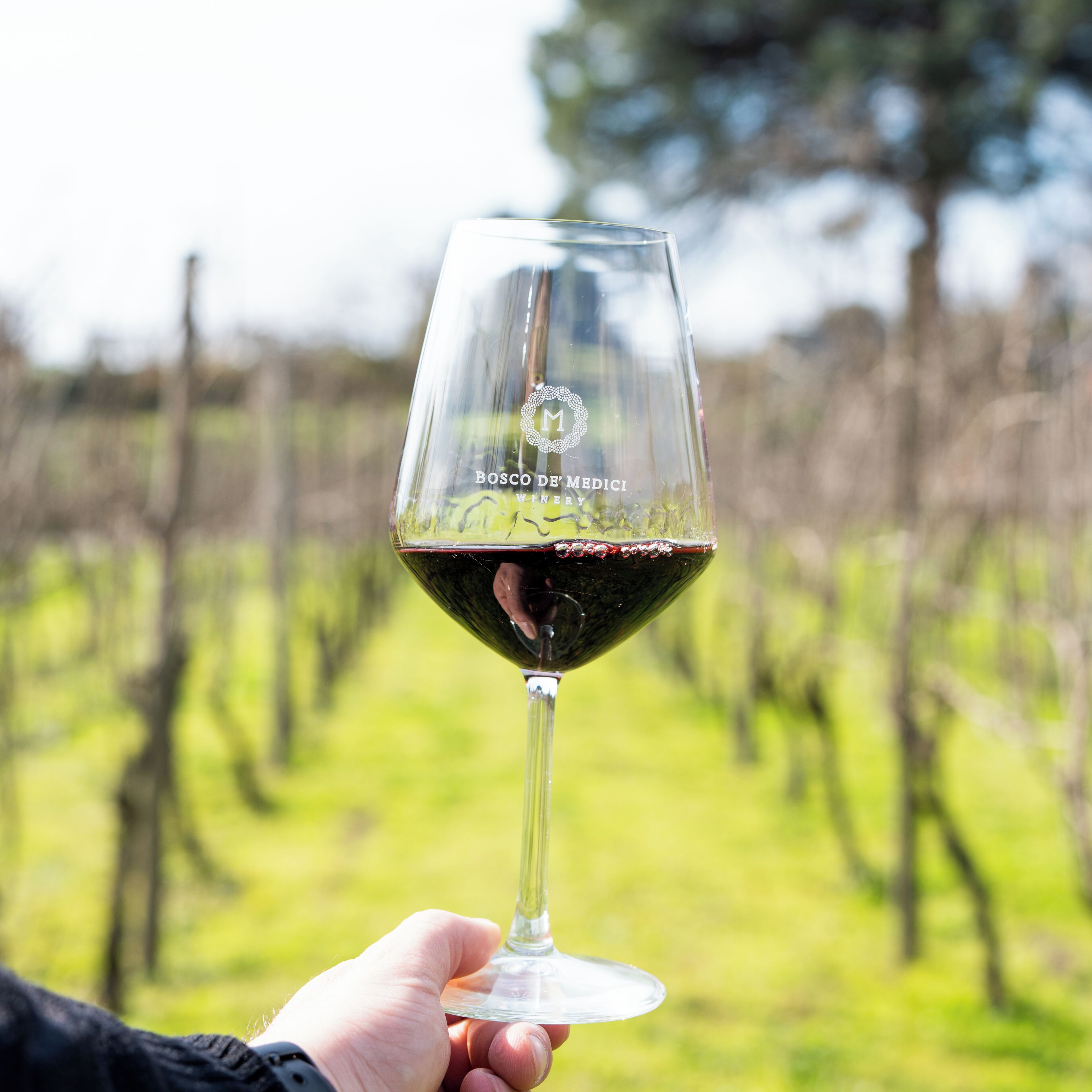A hand holding a wine glass with a vineyard in the background.